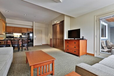 Murphy Bed in Living Area