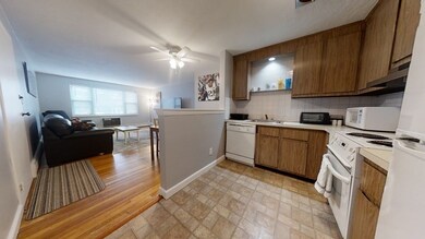 41 Warren St unit 1-1, Waltham, MA 02453 - photo 5