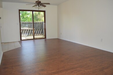 Sliding doors to patio