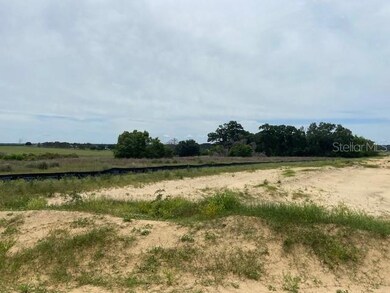 unlisted-address, Thonotosassa, FL 33592 - photo 3