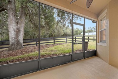 30512 Lipizzan Terrace, Mount Dora, FL 32757 - photo 3