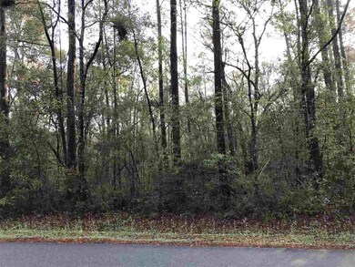 xx White Oak Dr, Crawfordville, FL 32327 - photo 4