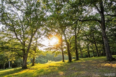 0 Highway D - Tract 9 (24 7+ - Acres) unit MIS25078045, Eolia, MO 63344 - photo 3