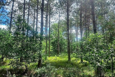 9th Avenue, New Lisbon, WI 54646 - photo 4