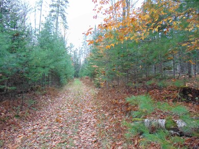 000 Old County Rd, Waterford, VT 05848 - photo 5
