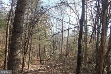 0 Chimney Oaks Ct unit VAFQ2006814, Marshall, VA 20115 - photo 2