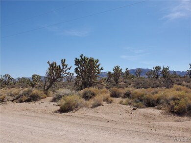 Lot view looking at the property from Verde toward