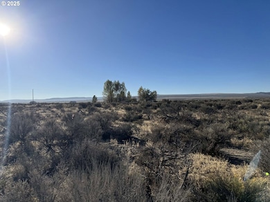 0 SE Pinion Ln unit 228511914, Christmas Valley, OR 97641 - photo 6