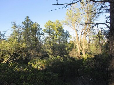 Photo 04