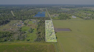 0 County Road 311 unit 16332064, Brazoria, TX 77422 - photo 2