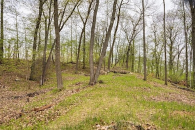 0 Flinstone Dr, Cushing, MN 56443 - photo 5