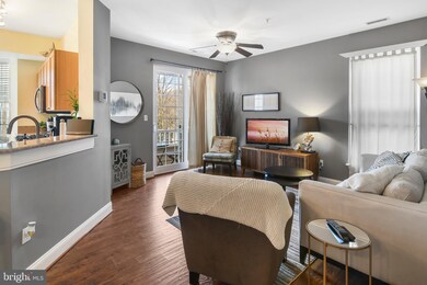 502 Mathias Hammond Way unit 210, Annapolis, MD 21401 - photo 4