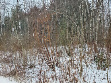 20220105_101753