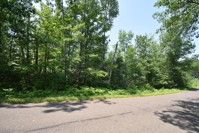 332xx McGraw Lake Rd, Blaine Township, WI 54830 - photo 7