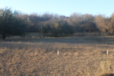 670 Wood Hollow Dr, Weatherford, TX 76087 - photo 3