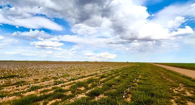 1826 County Road 1, Wilson, TX 79381 - photo 2