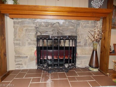 Fire Place with Electric Insert