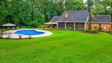 Back Yard 1