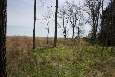 barrier islands