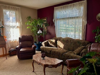 504 Pine St, Marathon, WI 54448 - photo 3