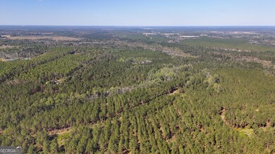 0 W 4th Street Extension unit 10650393, Alma, GA 31510 - photo 6