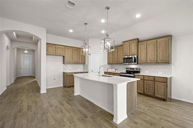 10312 Lenten Rose St, Fort Worth, TX 76036 - photo 5