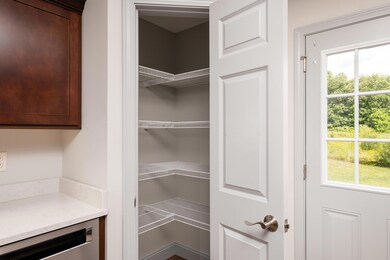 Kitchen Pantry