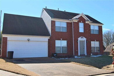 Great Cove Lot!
