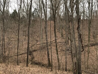 620 Bruners Chapel Rd, Harrodsburg, KY 40330 - photo 5