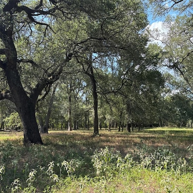 2477 W Highway 159, La Grange, TX 78945 - photo 6