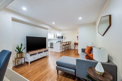 38 Juniper St unit 104, Brookline, MA 02445 - photo 7