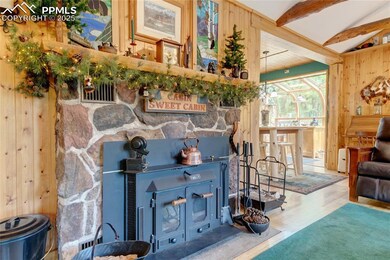 9615 Mountain Rd, Cascade, CO 80809 - photo 7