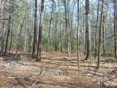 78 Lucy Little Rd, North Dartmouth, MA 02747 - photo 3