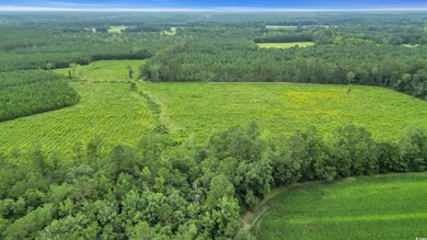 View of rural area with a heavily wooded area