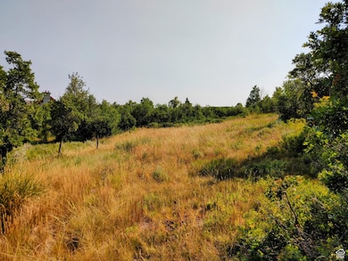 1813 S Greenleaf Rd unit 341, Heber City, UT 84032 - photo 7