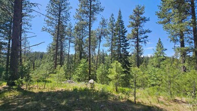 1451 and 1455 Crown Point Pkwy, Cascade, ID 83611 - photo 6