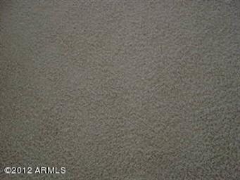 10532 Desert Forest - carpet