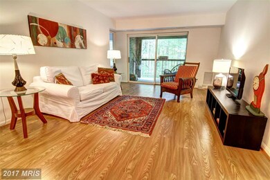 5825 Cove Landing Rd unit 203, Burke, VA 22015 - photo 5