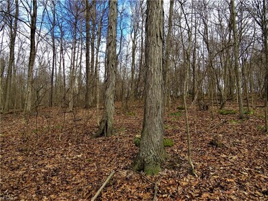 0 Laramie Rd, Carrollton, OH 44615 - photo 6