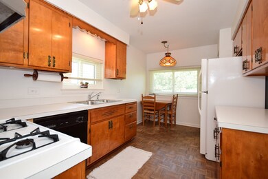 437 E Webster Ave, Elmhurst, IL 60126 - photo 6