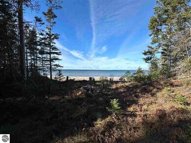 32010 Mrs Reddings Trail, Beaver Island, MI 49782 - photo 7