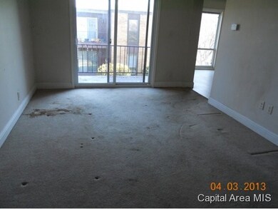 2551 W Monroe St unit 221, Springfield, IL 62704 - photo 6