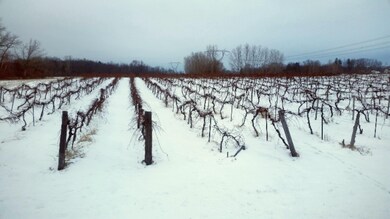 0 Browntown Rd unit 16006394, Bridgman, MI 49106 - photo 2