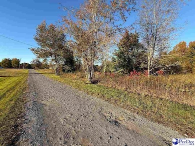 Lot 7 & 8 David Ln, Wallace, SC 29596 - photo 2