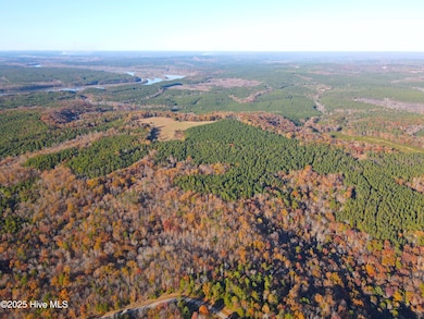 176 S Lakeview Dr, Rockingham, NC 28379 - photo 6