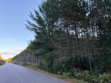 Lot 2 Plantation Rd, Enterprise, WI 54463 - photo 5