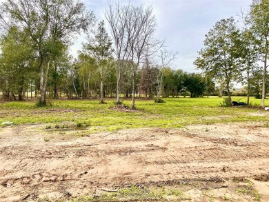 4602 Shadow Pond Ln, Alvin, TX 77511 - photo 7