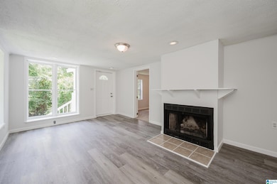 2436 Thomas St, Birmingham, AL 35217 - photo 5