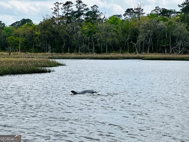 0 Simmons Bluff Rd unit 10371213, Woodbine, GA 31569 - photo 6