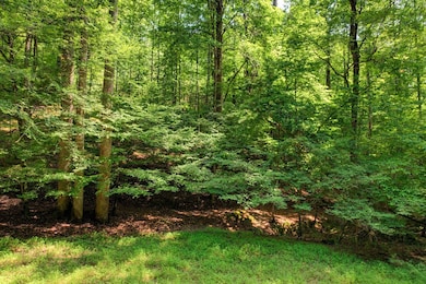 LOT 1972 Nancy Ct, Ellijay, GA 30540 - photo 7